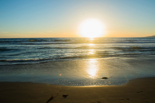 Why It Is Safer to Vacation Within the USA Than to Travel Internationally